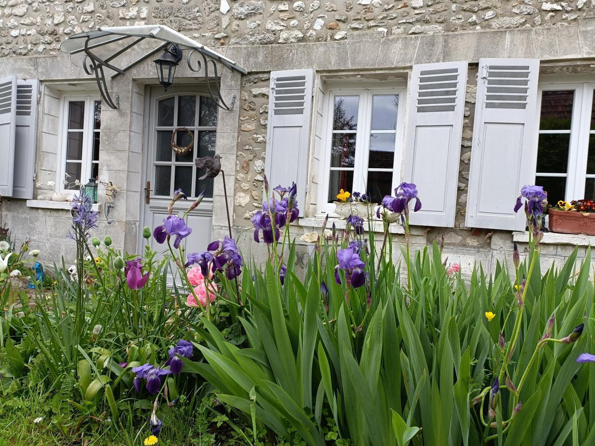 Avenue Du Chateau Saint-Just  Exterior foto